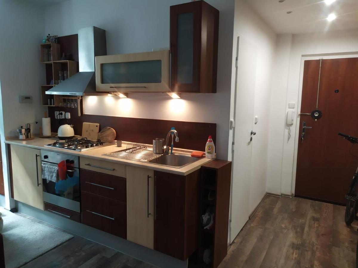 Pisqor Apartment - Self Check-In 布拉迪斯拉发 外观 照片