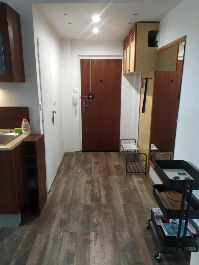 Pisqor Apartment - Self Check-In 布拉迪斯拉发 外观 照片